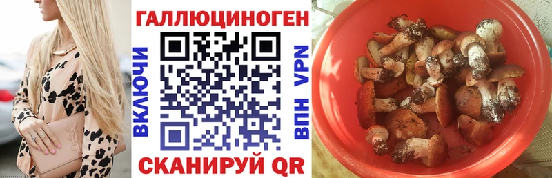 Псилоцибиновые грибы Psilocybine cubensis  цены   Ковров 